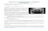 PATOLOGÍA DE LA CADERA EN CRECIMIENTO - UCM Patologia... · 2014. 2. 18. · inestabilidad de la cadera si no se trata lleva a la formación de un NEOACETÁBULO (la consecuencia