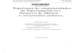 UNIVERSIDAD COMPLUTENSE Topología de singularidades de ...webs.ucm.es/BUCM/tesis/19911996/X/2/X2004401.pdf · El segundo problema es la relación existente entre número de Milnor