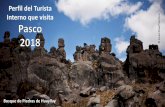 Encuesta Trimestral de Turismo Interno Pasco 2018 Perfil ... · Bosque de Piedras de Huayllay ... Tipo de muestreo: Probabilístico, muestreo aleatorio de hogares y selección del