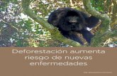 Deforestación aumenta riesgo de nuevas enfermedadesargentinambiental.com/wp-content/uploads/pdf/AA108... · La deforestación en el Amazonas facilita la transferen-cia de diversos