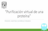 “Purificación virtual de una proteína”...CROMATOGRAFÍA DE INTERCAMBIO IÓNICO -pH 6.0 -Gradiente de 0.0 a 0.5 M -Resina dietilaminoetilcelulosa (DEAE) Aniónico (+), proteínas