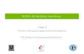 SUMA de Vectores: Hands-on - fisica.cab.cnea.gov.ar · Preguntas recolectadas en la clase 1 (1) ¿ Que pasa si los vectores a sumar son “muy” grandes ? (2) ¿ Como saber en que