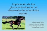 Implicación de los glucocorticoides en el desarrollo de la ...€¦ · Implicación de los glucocorticoides en el desarrollo de la laminitis equina. Pedro Latorre Muro Alejandro