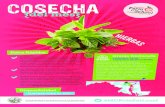 Cosecha del mes - Hierbas€¦ · Usted puede hacer un buen ramo de hierbas de hibisco, hierba gatera (catnip), albahaca, hierba de limn, menta y / o lavanda para repeler moscas y
