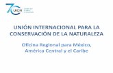 UNIÓN INTERNACIONAL PARA LA CONSERVACIÓN DE LA NATURALEZA · 2018. 7. 17. · Mundial para la Conservación • 1996 – Importancia del sector privado para la conservación •