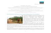 ESTUDIO DE CASO Yembiguasu, territorio guaraní de frontera...2017/11/22  · Yembiguasu se encuentra en la llanura chaqueña, corresponde a un clima xerofítico a semiárido con sequías
