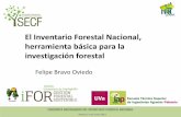 El Inventario Forestal Nacional, herramienta básica para la ......Madrid, 9 de Junio 2015 El Inventario Forestal Nacional no está pensado generar conocimiento pero… Es la mejor