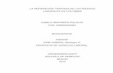 La reparación tarifada de los Riesgos Laborales en Colombia · Características del Sistema de Riesgos laborales 8 2. LOS RIESGOS LABORALES 9 2.1. Actores del Sistema de Riesgos