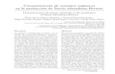 Caracterización de sustratos orgánicos en la producción de Stevia rebaudiana Bertoniww.ucol.mx/revaia/portal/pdf/2018/sept/5.pdf · 2019. 2. 20. · Caracterización de sustratos