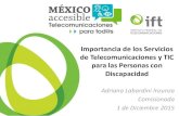 Importancia de los Servicios de Telecomunicaciones y TIC para … · 2019. 8. 16. · accesibles para los distintos tipos de discapacidad respecto de las funcionalidades de accesibilidad