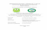 UNIVERSIDAD NACIONAL AGRARIA DE LA SELVA FACULTAD DE ... · implementaciÓn del programa de seguridad y salud ocupacional en las obras de mantenimiento y remodelaciÓn del noveno