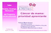 Cáncer de mama: prioridad apremiante20web%20TAP/...cáncer de cérvix; no en cáncer de mama. 1955-2007 A partir del 2006 la mortalidad por cáncer de mama excede a la de cérvix.