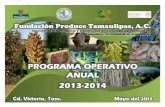 PROGRAMA OPERATIVO ANUAL 2013-2014. PROGRAMA OPERATIVO ANUAL 2013-2014. El Programa Operativo Anual
