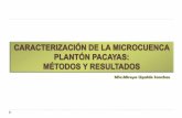 MSc.Mireya Ugalde Sanchez · proceso PPP la prioridad1(indicadores de rentabilidad sobre la prioridad3 relativa contaminación y erosión. Bases de datos 943,8 753,5 697,4 586,3 133,1