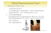 위장관(Gastrointestinal Tract)contents.kocw.net/KOCW/document/2014/Chungang/KIMMikyung/... · 2016. 9. 9. · 위장관(Gastrointestinal Tract) • 위장관의구조와기능: