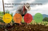 Etapas del proceso de Encadenamiento inclusivo · Presentación de PowerPoint Author: Camila Orduz De La Torre Created Date: 12/5/2019 2:00:58 PM ...