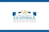 OBSERVATORIO NACIONAL SOBRE DROGAS GUATEMALAsisco.copolad.eu/web/uploads/documentos/Guatemala_COPOLAD_II… · 1. Mis Primeros Pasos 2. PRONEPI 3. Familias Fuertes 4. Prevención