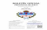 BOLETÍN OFICIALboletinoficial.jujuy.gob.ar/wp-content/uploads/2016/Boletines/2020/1… · Boletín Oficial Nº 117 956 Provincia de JUJUY Unidos, Responsables y Solidarios publíquese