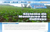 Sistema de Monitoreo de Cultivos Boletín SMC...Sistema de Monitoreo de Cultivos 6 junio 2013 De enero a mayo 2013 los departamentos que presentaron mayores pérdidas de maíz fueron