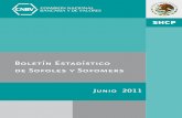 Boletín Estadístico de Sofoles y Sofomers · 2011. 8. 23. · Junio 2011. 2 Presentación 5 Evaluación de la calidad y oportunidad de la información 7 Estadísticas del Total