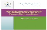 INFORME ESPECIAL SOBRE LA...2019/04/04  · Página 6 de 97 9. La OCDE estimó que en 2015 el gasto público del Estado mexicano destinado al sistema de pensiones ascendió a 1.9%