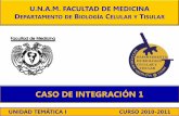 CASO DE INTEGRACIÓN 1 - facmed.unam.mx clinicos/bloque1/caso_… · CASO DE INTEGRACIÓN 1 Paciente masculino de 4 años de edad, originario y residente de Cuernavaca Morelos. Producto