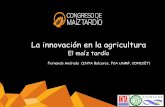 El maíz tardío - Maizar andrade.pdf · Conocimiento amb cv Aumento de productividad (23%) y de EUR I = 11:30 hrs. Agricultura por ambientes, tecnologías recomendadas e impacto