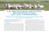 LA NECESARIA GESTIÓN REPRODUCTIVA DE LAS ......Según Abecia (2010), el hecho de que en la mayoría de las razas ovinas españolas las corderas nacidas en primavera presenten las
