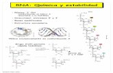 RNA: Química y estabilidad · 2003. 11. 24. · Enrique Castro, 2003 RNA: estructura y tipos RNA ribosómico (rRNA) • Cadena simple • Alta estructura secundaria (hélice en bucles