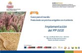 Implementación del PP 0035Implementación del PP 0035 Por Ing. Luis Revilla Santa Cruz - Gerencia Regional de Recursos Naturales y Gestión del Medio Ambiente