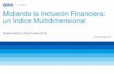 Noelia Cámara y David Tuesta (2014) - CIEScies.org.pe/.../como_medir_inclusion_financiera...82 países con datos para 2011. Resume, de manera eficiente, información de 11 indicadores