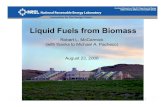 Liquid Fuels from Biomass...New Vegetable Oils N o rmal g wth in animal fat p oduction Increased soy oil yield Recovery of corn oil from ethanol production Conversion of wheat acreage