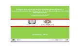 Manual de Transversalidad de Génerocedoc.inmujeres.gob.mx/ftpg/Zacatecas/ZAC_MA_9_Programa...en la democracia y la equidad social para el avance de la ciudadanía. Por consiguiente,