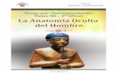 New Lección 22 - La Anatomía Oculta del Hombre - Gnosis -IGA · 2012. 4. 28. · -4-Curso por Correspondencia - I.G.A. Samael y Litelantes ... Para hacer una comparativa que nos