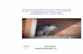 Projecte d’introducció del Falcó pelegrí Falco peregrinus ... · l’alliberament de quatre exemplars al terrat de l’antiga escola d’infermeria, a la Ciutat Sanitària de