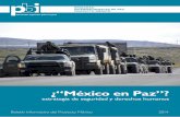 México en Paz”? - Mexico Project · el embate de la delincuencia organizada transnacional”. Sin embargo, la violencia ligada al crimen ... bia, que se implementó en un contexto