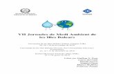 VII Jornades de Medi Ambient de les Illes Balearsbalearsnatura.com/wp-content/uploads/2016/11/VII-JMAIB-2018-es-Ved… · a més de permetre que algunes espècies endèmiques puguin