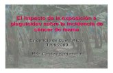 El impacto de la exposición a plaguicidas sobre la ... · El impacto de la exposición a plaguicidas sobre la incidencia de cáncer de mama Evidencia de Costa Rica, 1996-2000 MSc.