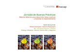 JddB PátiJornada de Buenas Prácticas · Material didáctico para desarrollar ideas creativas y fomentar el emprendimiento Sede Apoquindo Rebeca Cartagena / Asesora Pedagógica MD