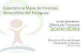 Experiencia Mesa de Finanzas Sostenibles del Paraguay · Contexto local –Importancia del sector financiero Mesa de Finanzas Sostenibles Según datos de CAPECO (2015) •3.264.480