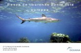 P esca de tiburo nes por la flota europea · 2007. 7. 19. · P esca de tiburo nes por la flota europea 7ª Conferencia del Medio Ambiente Puerto del Rosario 20 de abril de 2007.