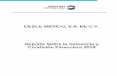 CESCE MÉXICO, S.A. DE C.V.cescemex.mx/sites/cescemex.mx/files/docs/CM.RSCF.2018.pdf · 2019. 5. 20. · domicilio en Andrés Bello No. 45 Piso 27 Interior 2, Col. Polanco Chapultepec,