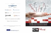 CV PLUS INGLES - CVE Projectcve-project.eu/cvplus/CV PLUS_ver_PL_ver2.pdf · CV PLUS powstał, by ułatwić menedżerom i pracownikom firm oraz dyrekcji i nauczycielom w szkołach