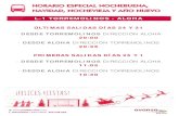 HORARIO ESPECIAL NOCHEBUENA, NAVIDAD, NOCHEVIEJA Y …torremolinos.avanzagrupo.com/images/pdf/Aviso-Navidad-2016-Torr… · Últimas salidas dÍas 24 y 31 · desde torremolinos direcciÓn