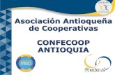 Asociación Antioqueña de Cooperativas CONFECOOP …...REDESS es una estrategia sectorial para crear solidez desde la solidaridad y la sinergia empresarial. En la actualidad, contamos