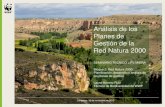 Análisis de los Planes de Gestión de la Red Natura 2000fnyh.org/.../11/wwf.presentacion-planes-red-natura-2015.pdf · 2015. 11. 26. · Los anfibios son el grupo de vertebrados