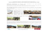 Informe projecte: El efectes dels incendis a la Vall d ... · 18 de juliol de 2013. Avui pugem al Mas de La Lata i fem caixes niu d’ocells per col·laborar amb el Projecte Nidum