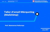 New Taller d’email Màrqueting (Mailchimp) · 2017. 6. 28. · operativa del nostre negoci, cal declarar-les a l’Agència de Protecció de Dades . •Aquestes bases de dades han