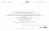 “2014, Año de Octavio Paz”posgrado.lapaz.tecnm.mx/uploads/archivos/55f07746a82ee.pdf · 2017. 12. 15. · A diferencia de un programa de gobierno que presta servicios de asesoría