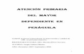 ATENCIÓN PRIMARIA DEL MAYOR DEPENDIENTE EN PENÁGUILA · modelo de encuesta establecido por la Ley 39/2006, de 14 de Diciembre, de Promoción de la Autonomía Personal y Atención